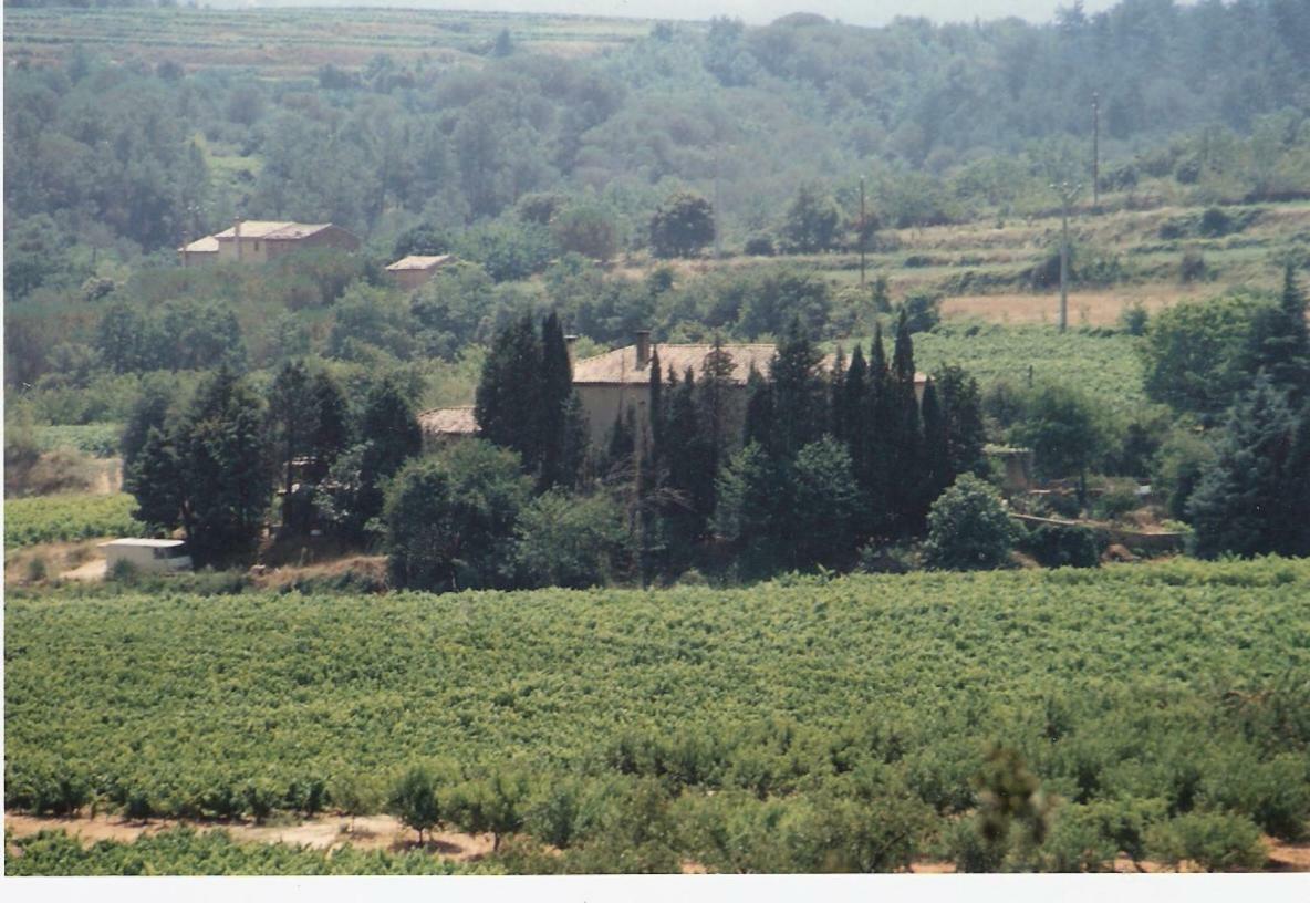 Domaine Chanoine Rambert Saint-Andre-d'Olerargues Exterior photo
